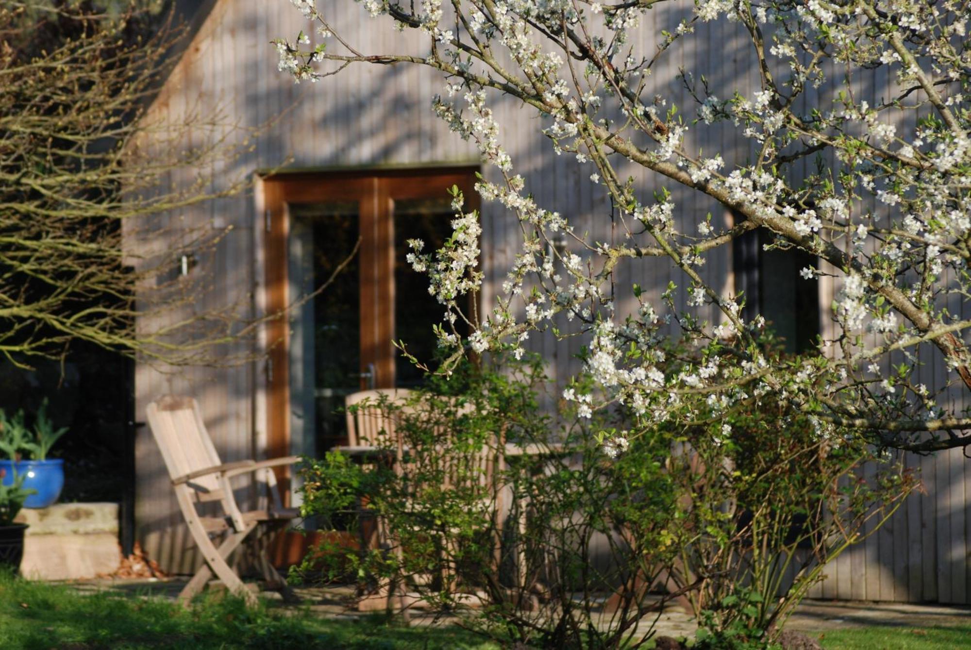 Garden Spring